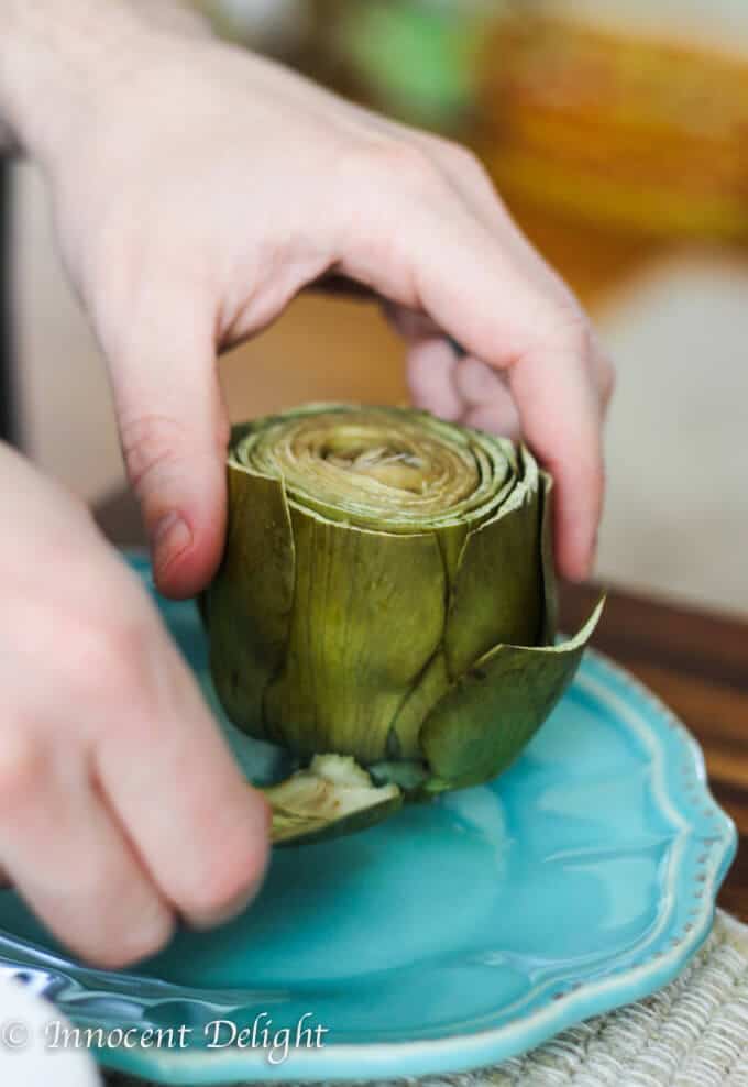 Perfectly trimmed and steamed artichokes