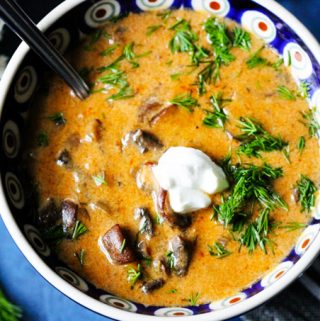 Hungarian Soup with mushrooms and dill in a bowl