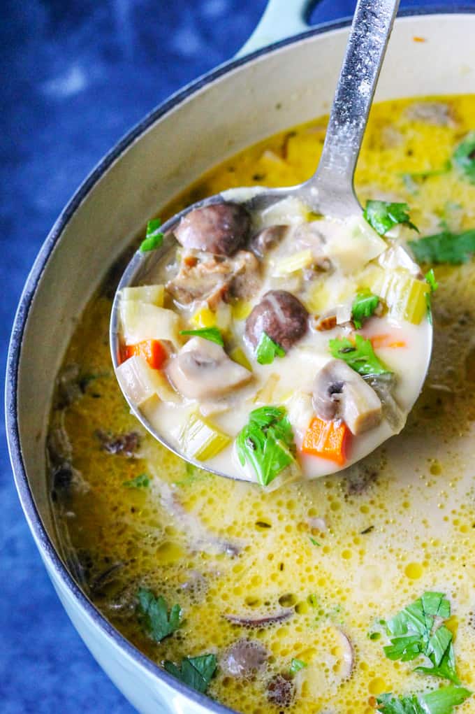 Polish Mushroom soup in a pot with ladle